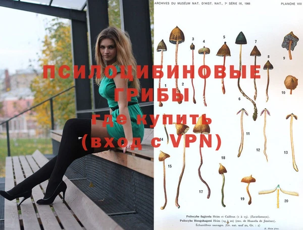 мдпв Алзамай