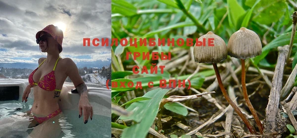гидра Покров