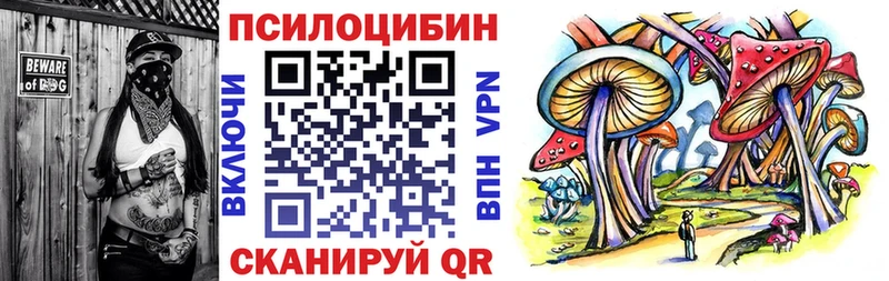 Галлюциногенные грибы Psilocybine cubensis  omg как войти  Сухиничи 
