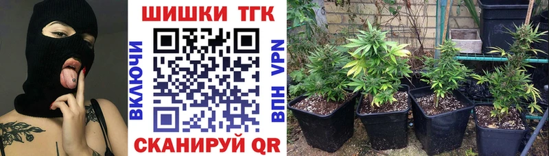 MEGA ссылки  Сухиничи  Канабис сатива 